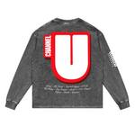 Channel U 2.0 Long Sleeved Tee in Vintage Grey, back view